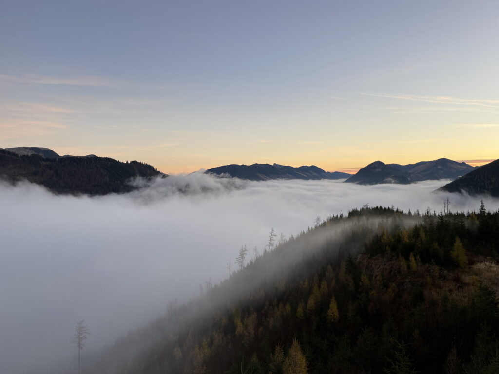 (Short detour): Amazing view from the hide