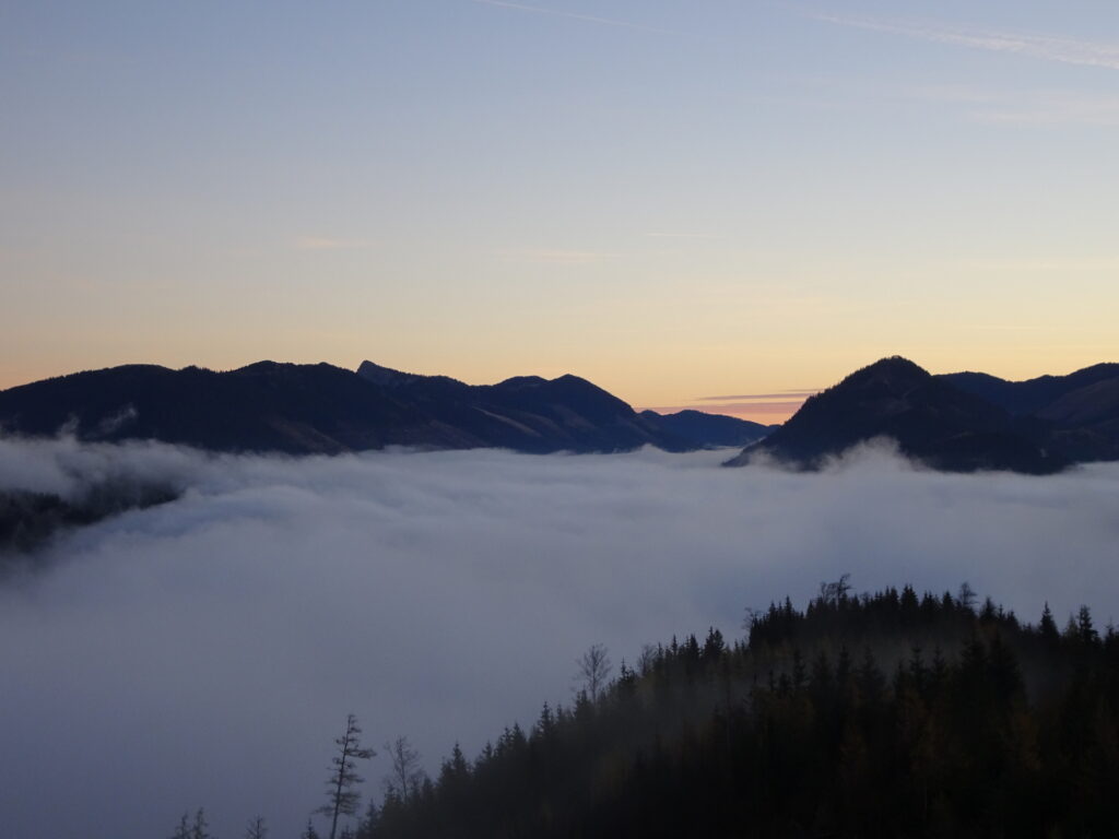 (Short detour): Amazing view from the hide