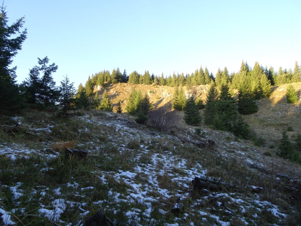 Towards the ridge that leads up to <i>Großer Proles</i>