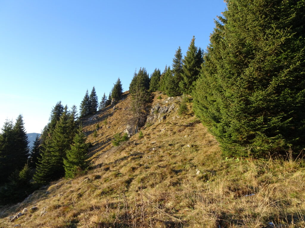 On the trail up to the ridge towards <i>Großer Proles</i>