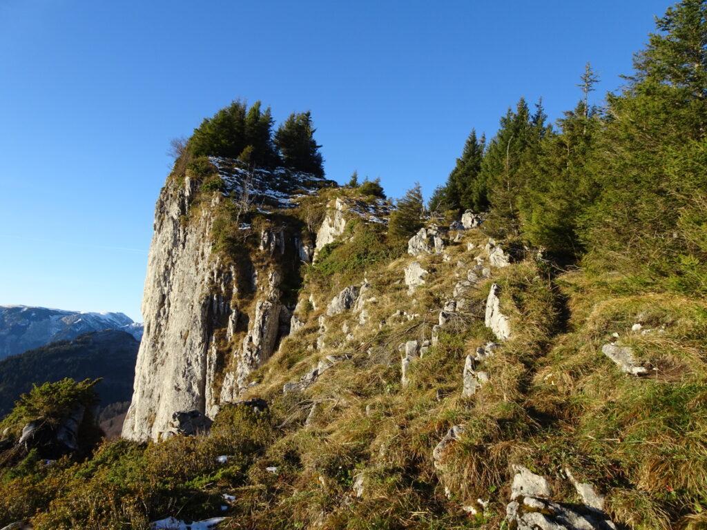 The last ascent to the summit of <i>Großer Proles</i>