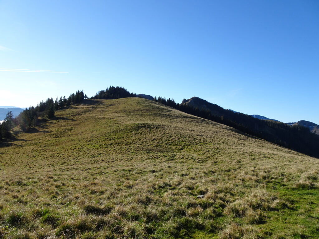 On the trail towards <i>Kleiner Königskogel</i>