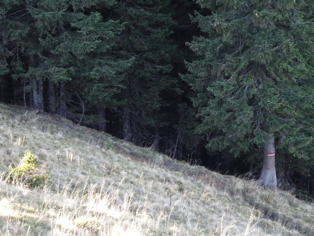 The hiking trail towards <i>Kleiner Königskogel</i>