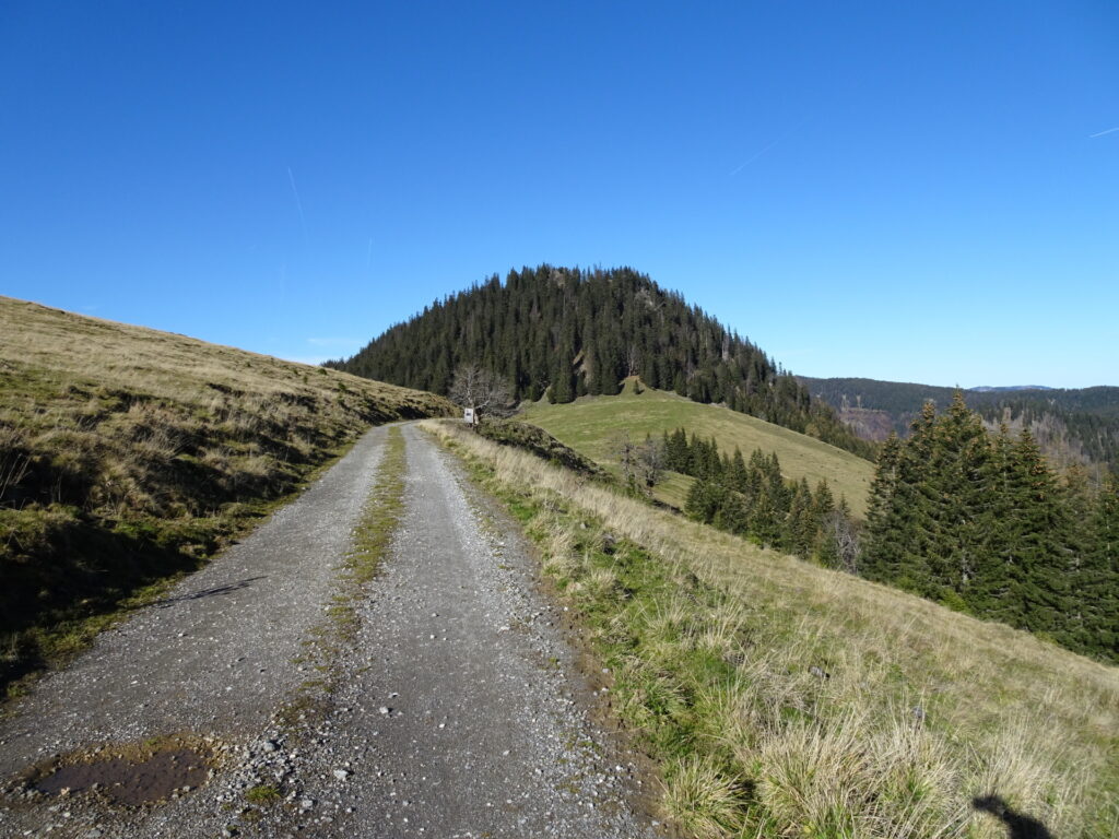 On the trail towards <i>Dürrieglalm</i>