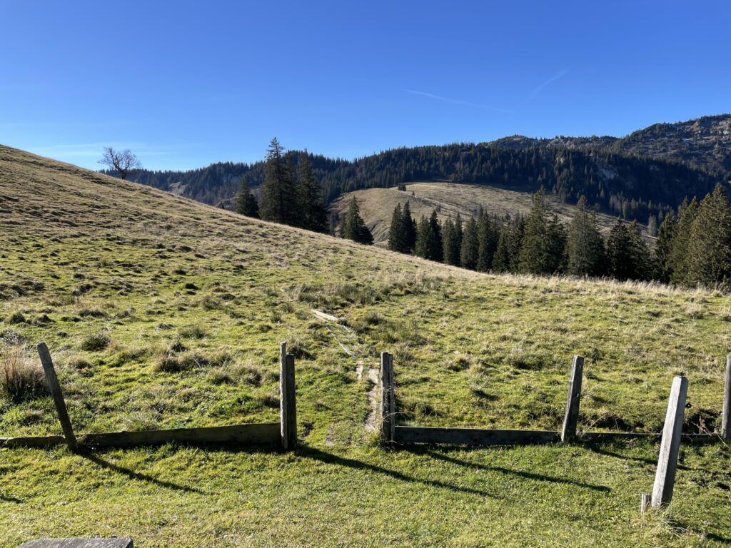 The trail towards <i>Tonion</i> after bypassing <i>Dürrieglalm</i>