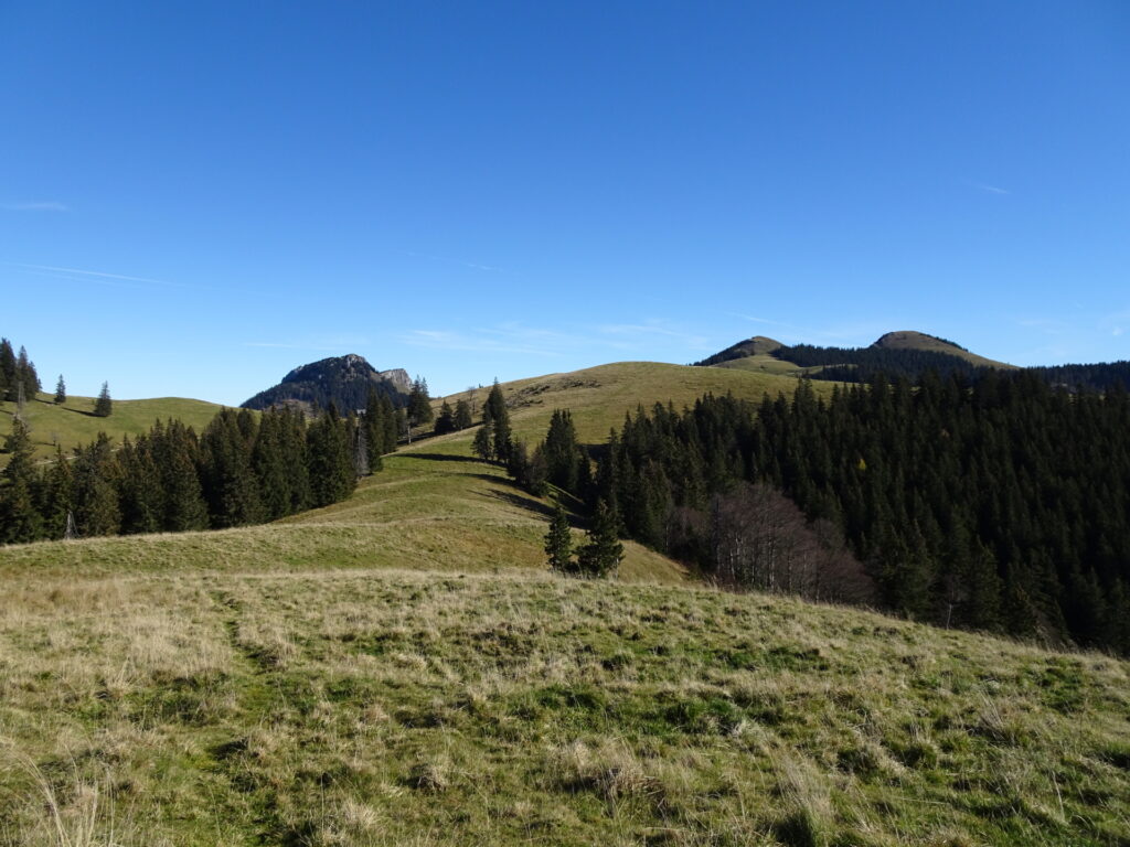 View back from the trail towards <i>Herrenboden</i>