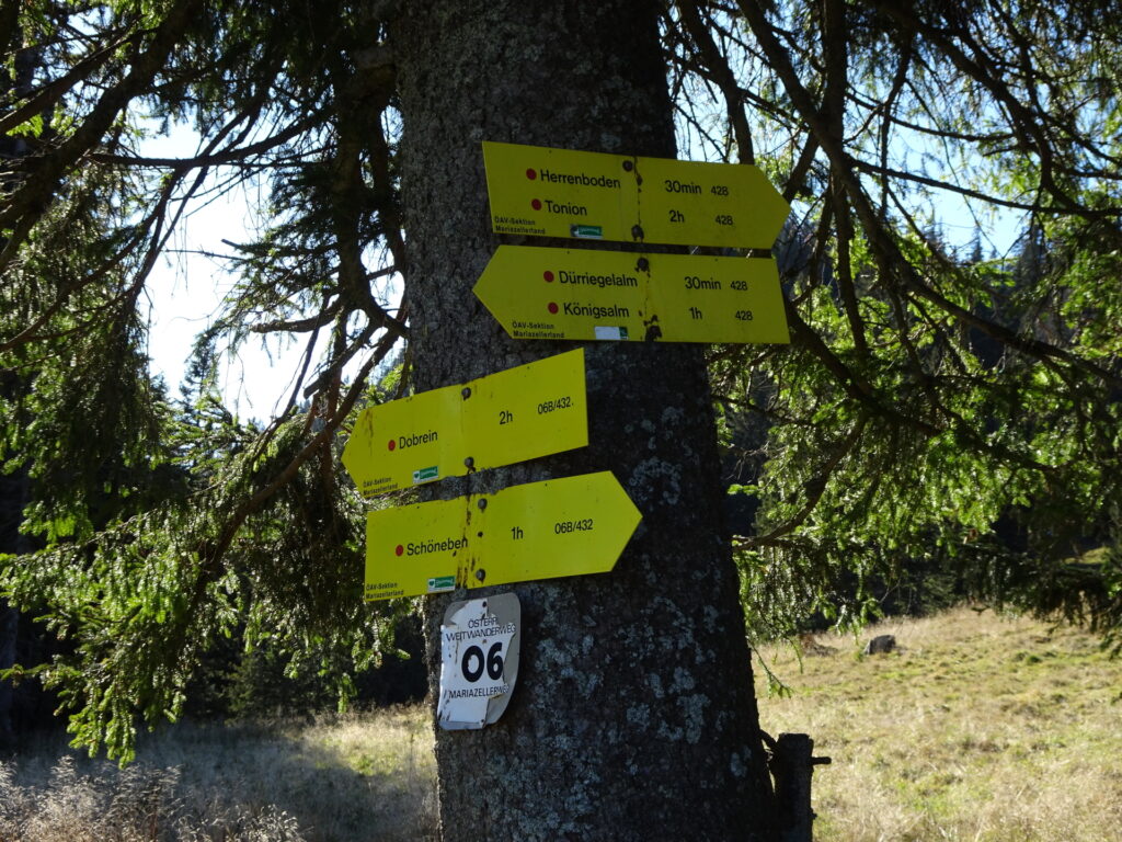 At the crossing, keep straight and follow the trail towards <i>Herrenboden</i>