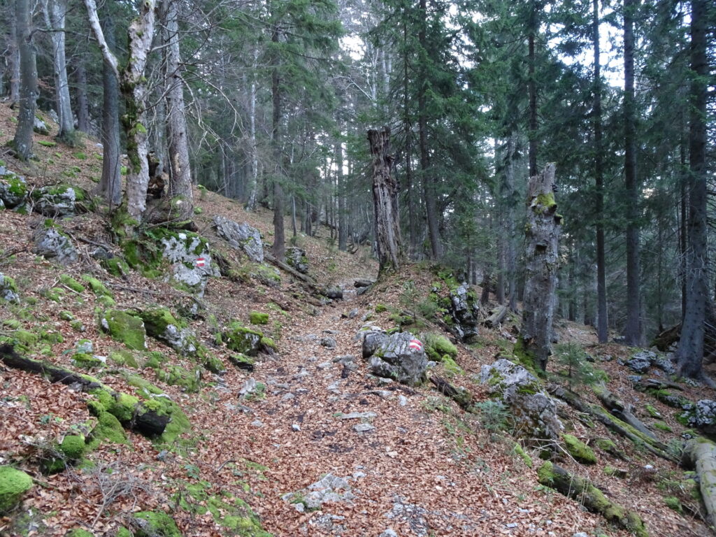 Descending towards <i>Schöneben</i>