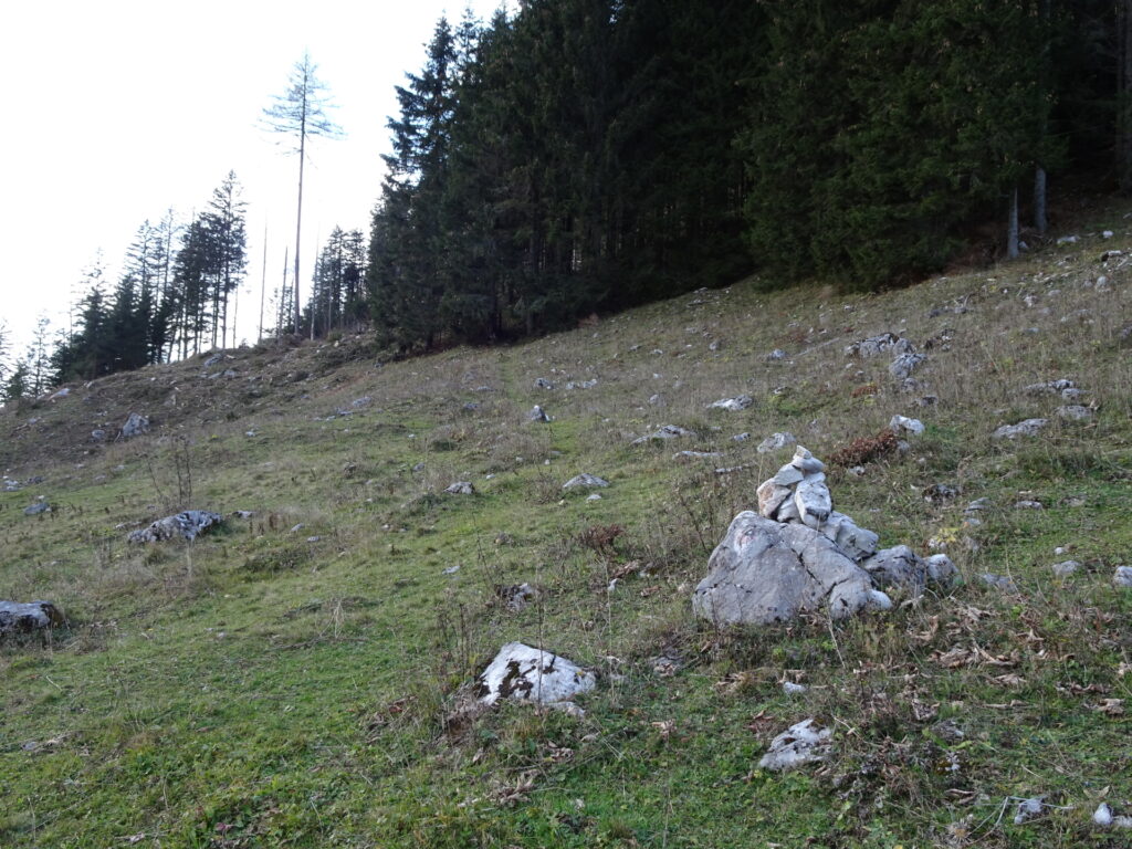 Finding the way up to <i>Buchalpenboden / Hohe Student</i> (one of the "stone-man")