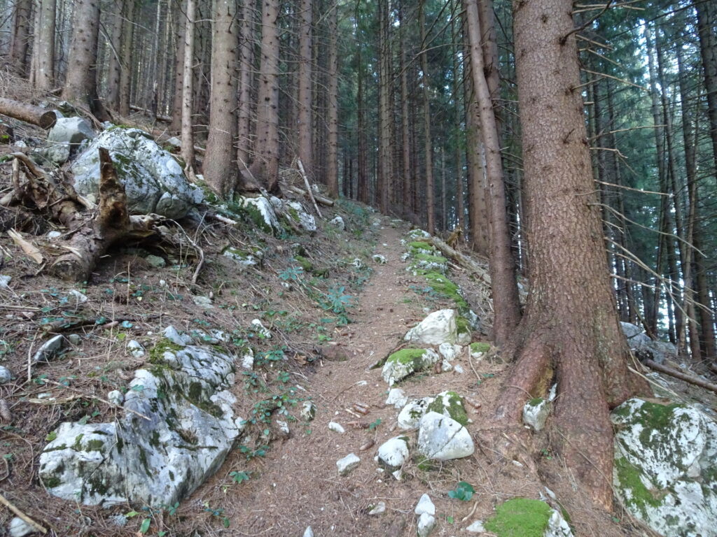 On the path up to <i>Buchalpenboden</i>