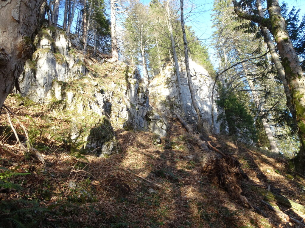 The crux of the path up to <i>Buchalpenboden</i> (steep and a bit exposed)