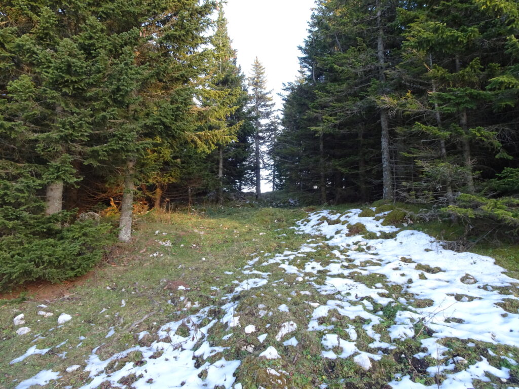 The (hard to see) trail towards <i>Frein an der Mürz</i> behind the hut