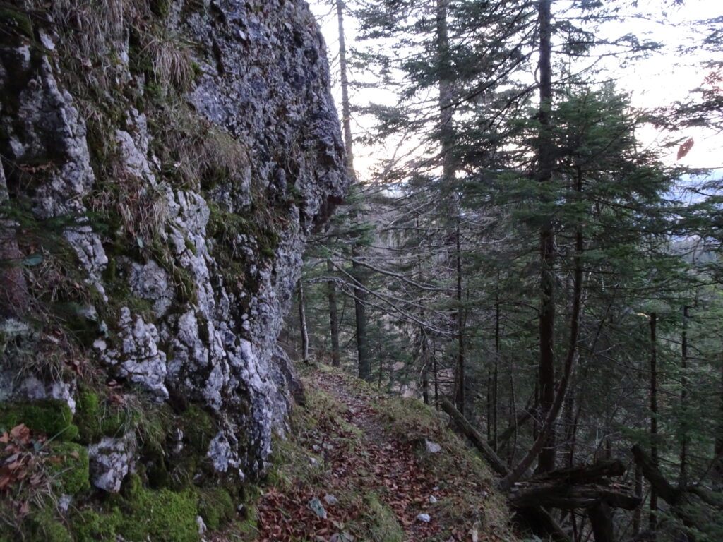 Descending to <i>Frein an der Mürz</i> (trail deviates from the GPS map)