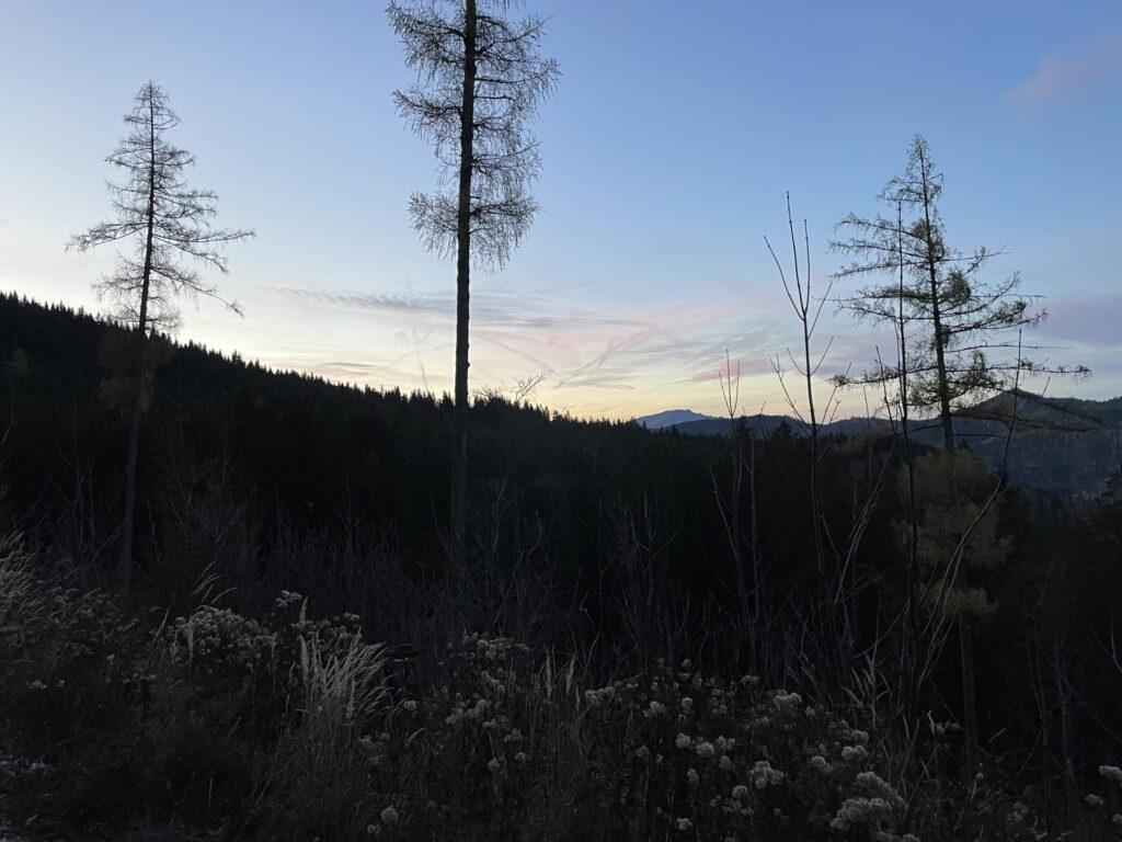 On the trail back to <i>Frein an der Mürz</i>