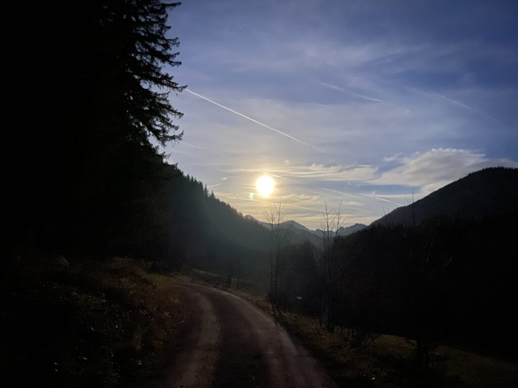 On the trail back to <i>Frein an der Mürz</i>