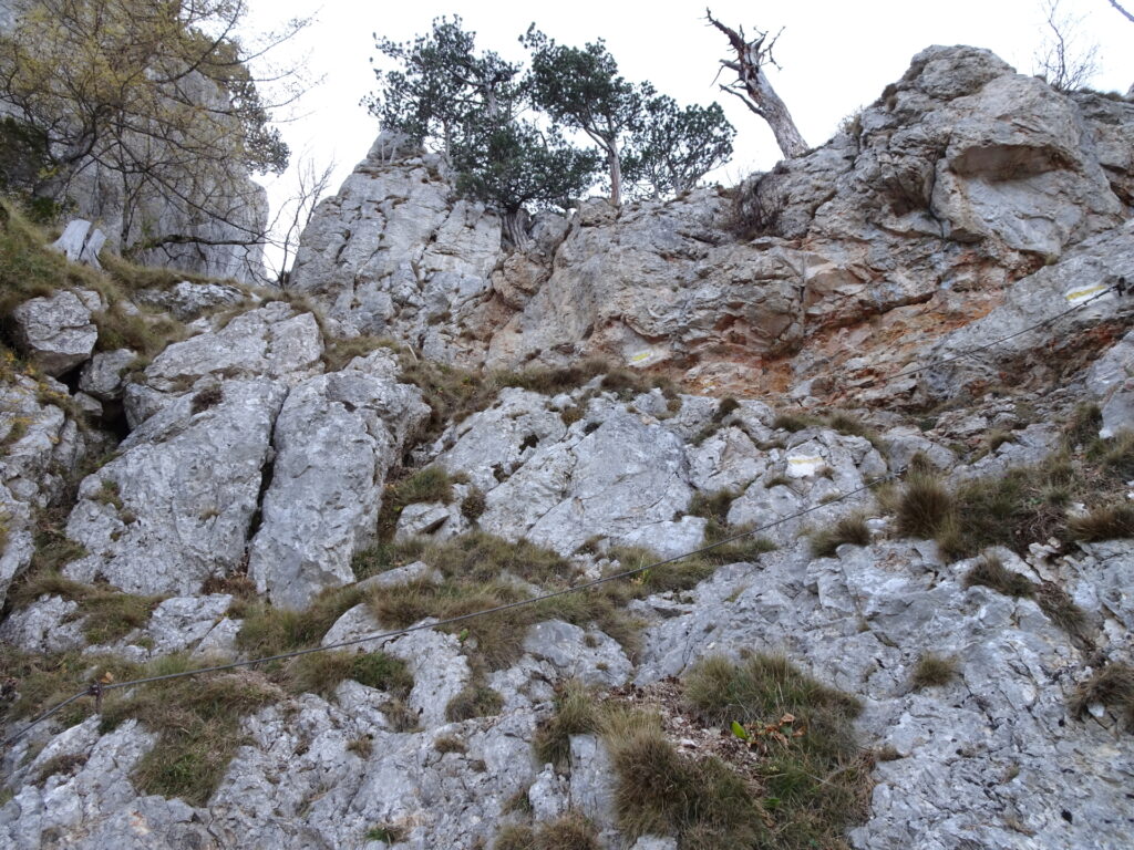 Climbing up <i>Camillo-Kronich-Steig</i>