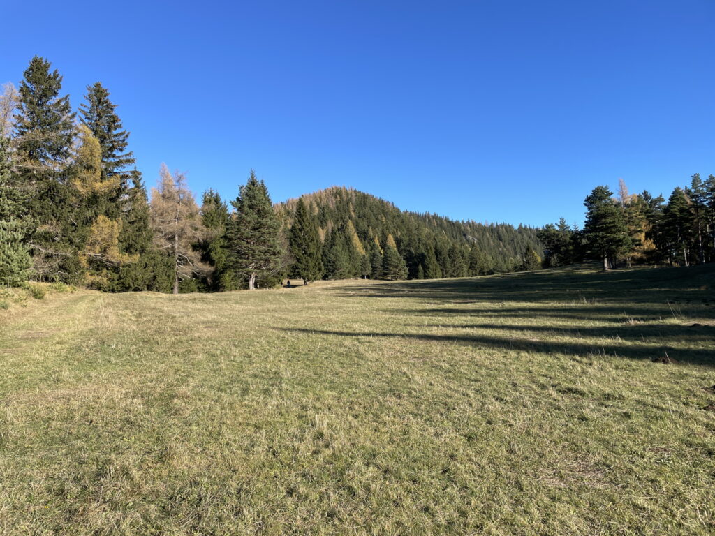 At the beautiful mountain pasture between <i>Mittelotter</i> and <i>Großer Otter</i>
