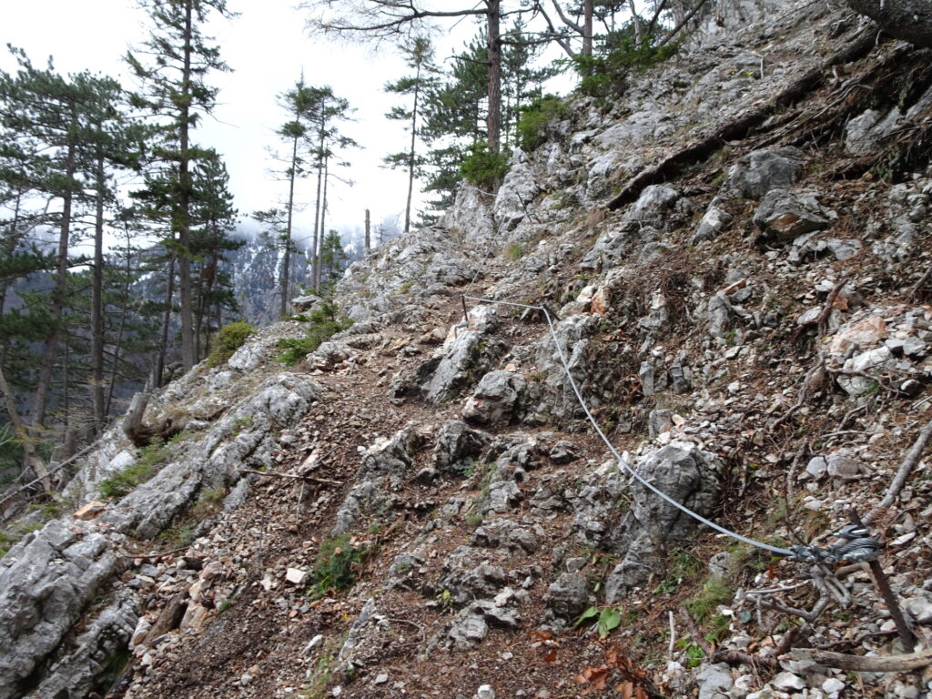 Towards the scree field of <i>Miesleitensteig</i> (protected with fixed ropes)