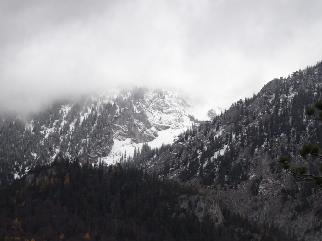 The <i>Schneeberg</i> is covered in fog