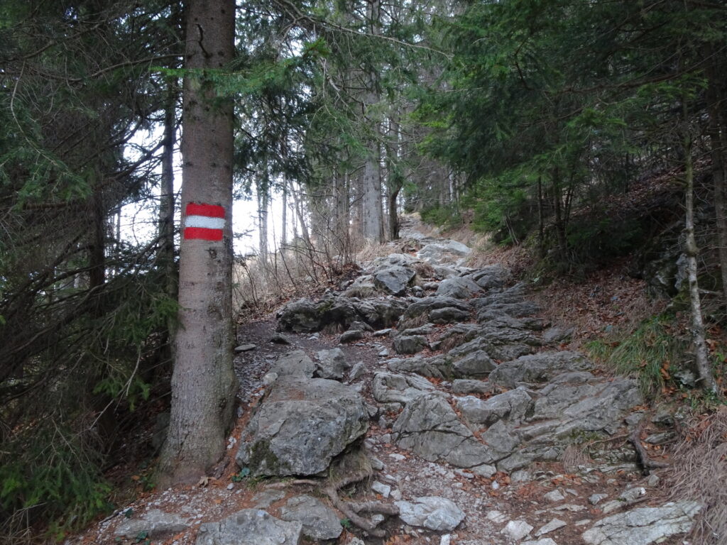 On the trail towards <i>Johann-Waller-Hütte</i>