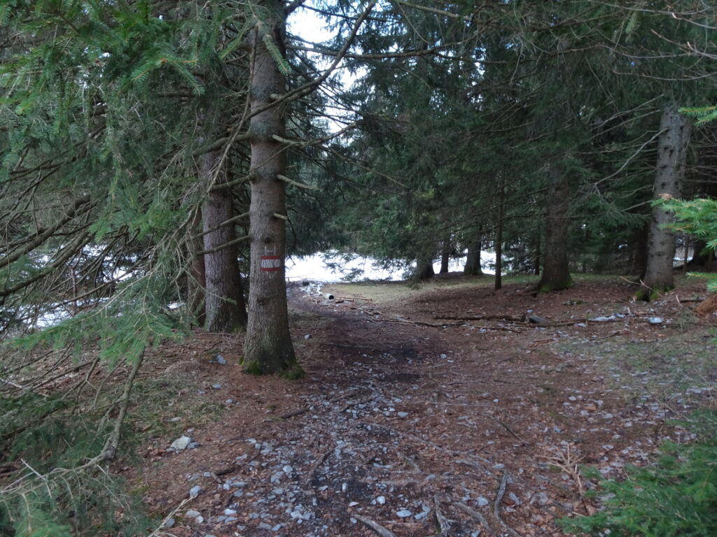 On the trail after <i>Johann-Waller-Hütte</i> towards <i>Niederer Schöckl</i>