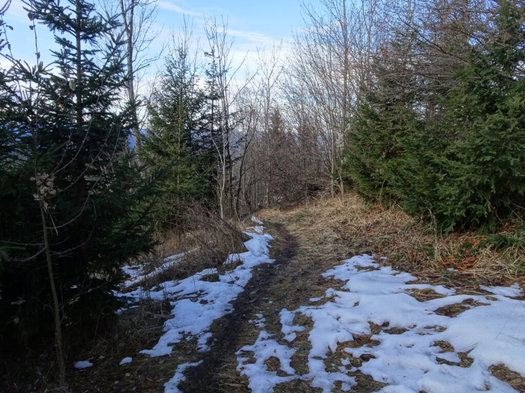 On the trail towards <i>Niederer Schöckl</i>