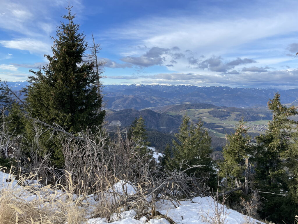 View from <i>Niederer Schöckl</i>