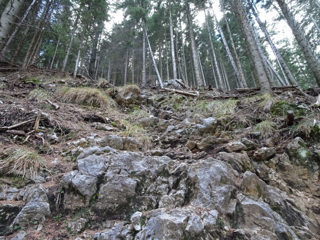 Looking back at the lower climbing passage of <i>Niko-Steig</i>