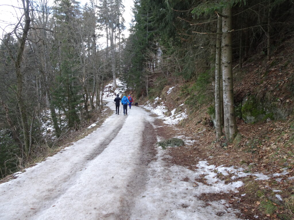 Following the forest road back to <i>St. Radegund</i>