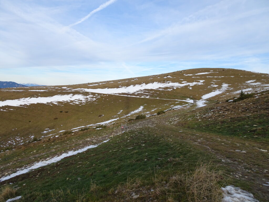 The trail towards <i>Kerschbaumgatterl</i> at the wind generator