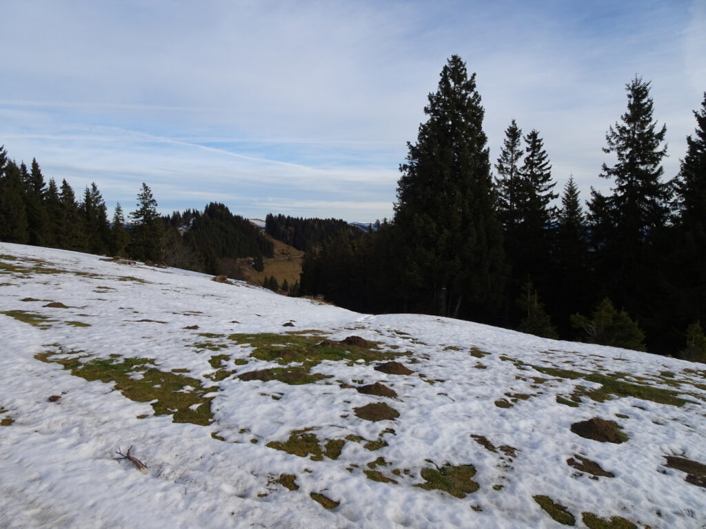 Trail down towards <i>Haberlstallhütte</i> from <i>Wallfahrerkreuz</i>