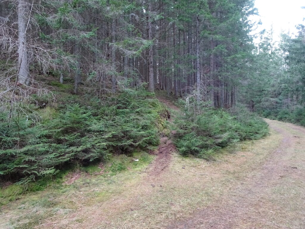 Follow the small trail (<i>Stoakogler Heimatwanderweg</i>) through the forest