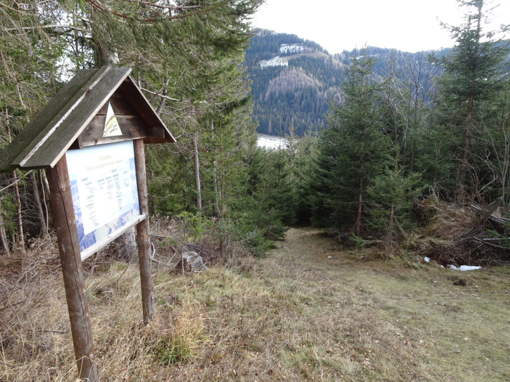 Follow this trail down BEHIND(!) the <i>Stoaniwelt Turm</i> viewing platform