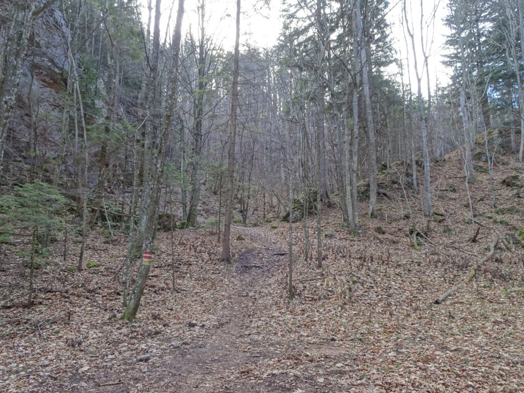 Trail towards <i>Hubertushaus</i> (inside the <i>Leitergraben</i>)