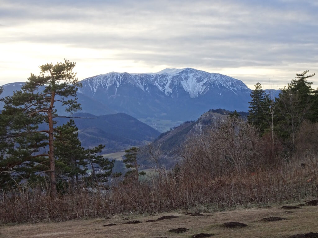 The <i>Schneeberg</i> seen from <i>Eicherthütte</i>