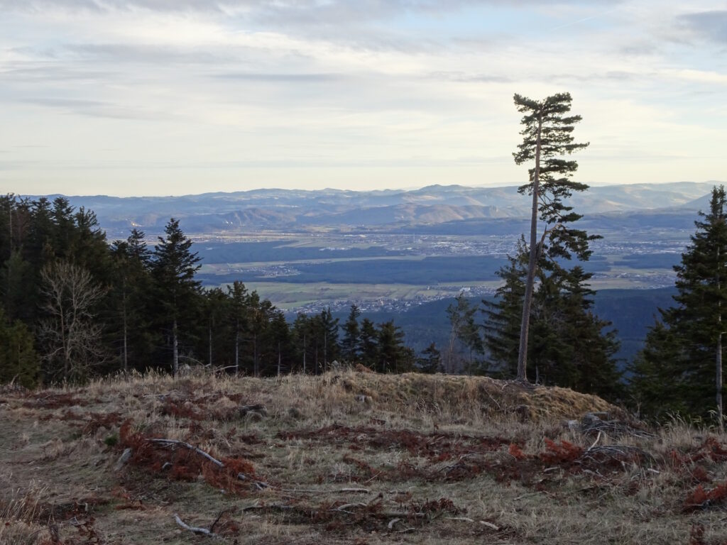 View from the trail up to <i>Plackles</i>