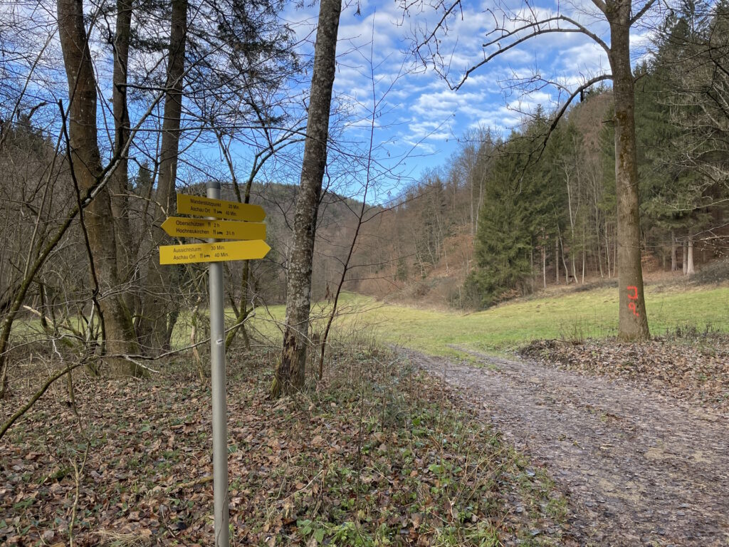 Turn left here and follow the trail through the meadows towards <i>Aschau Ort</i>