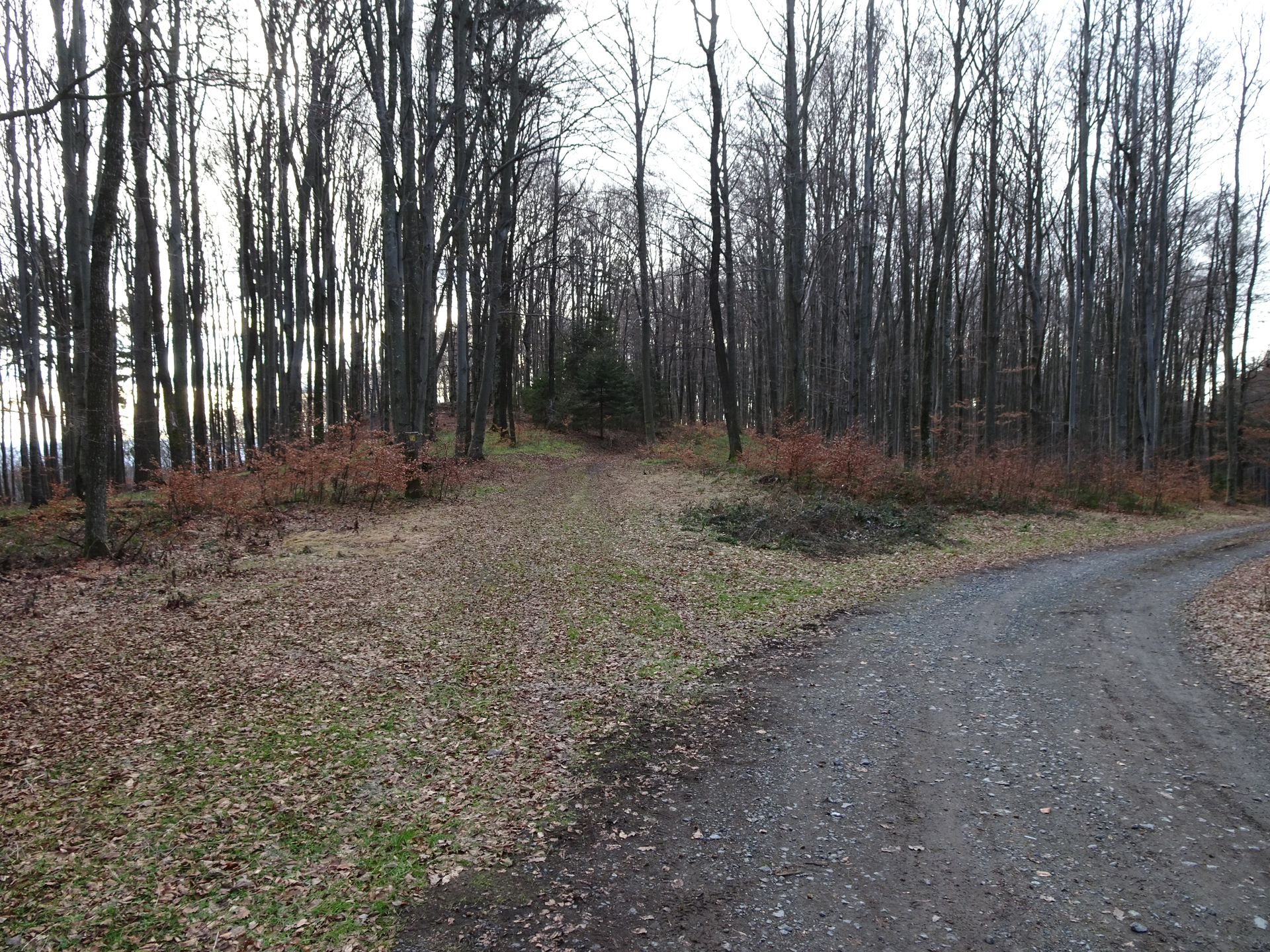 The trail towards <i>Bremsberg</i>