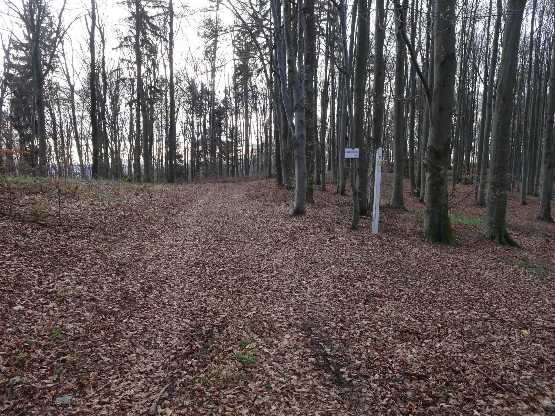 Keep straight and leave the marked trail here to access <i>Bremsberg</i>