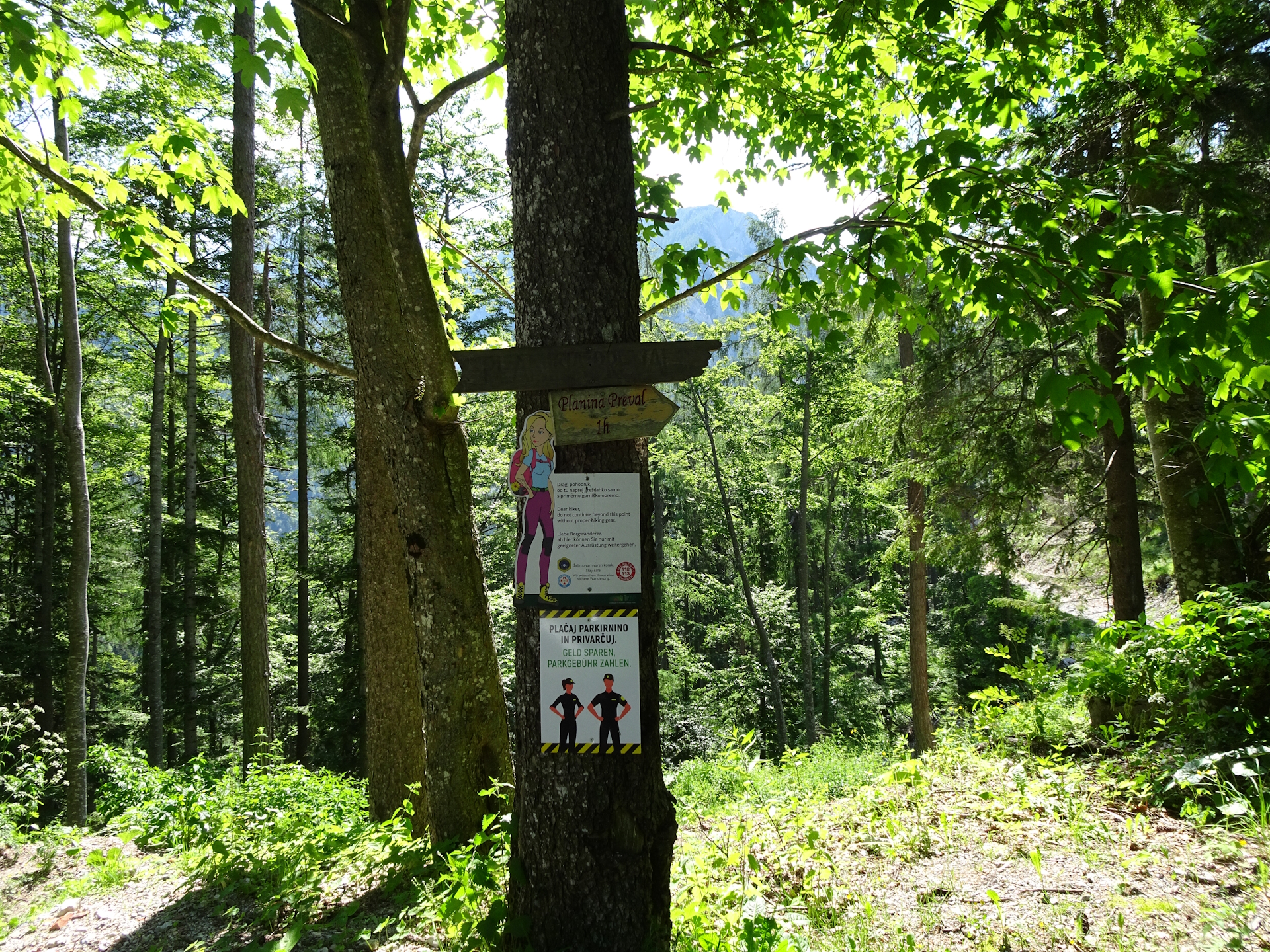 Do not forget to purchase a ticket and use proper hiking gear!