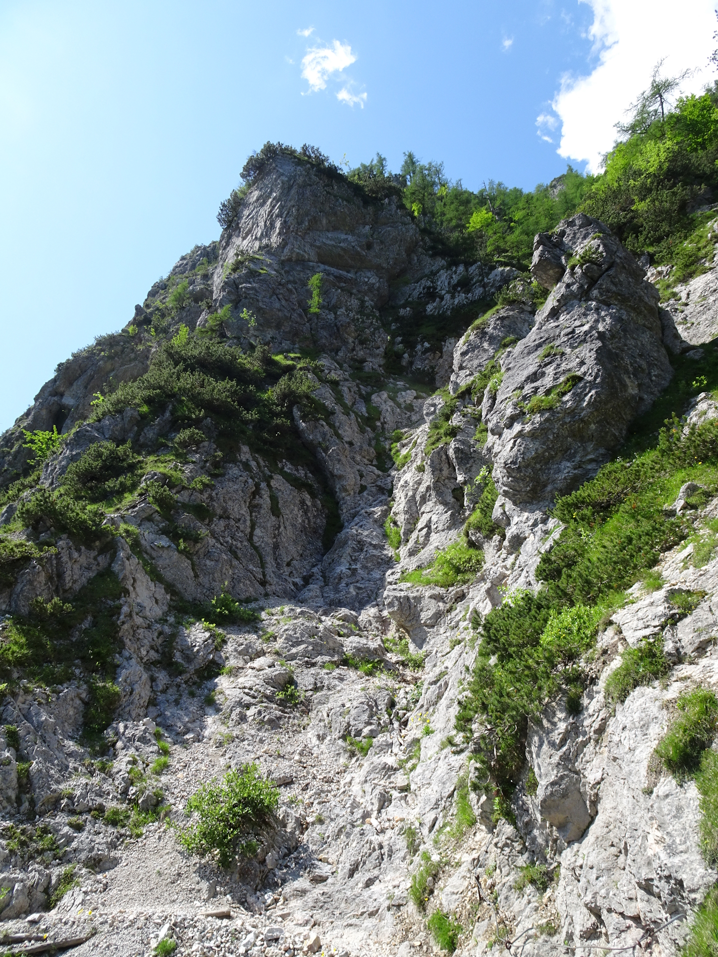 At the <i>Bornova pot</i> trail