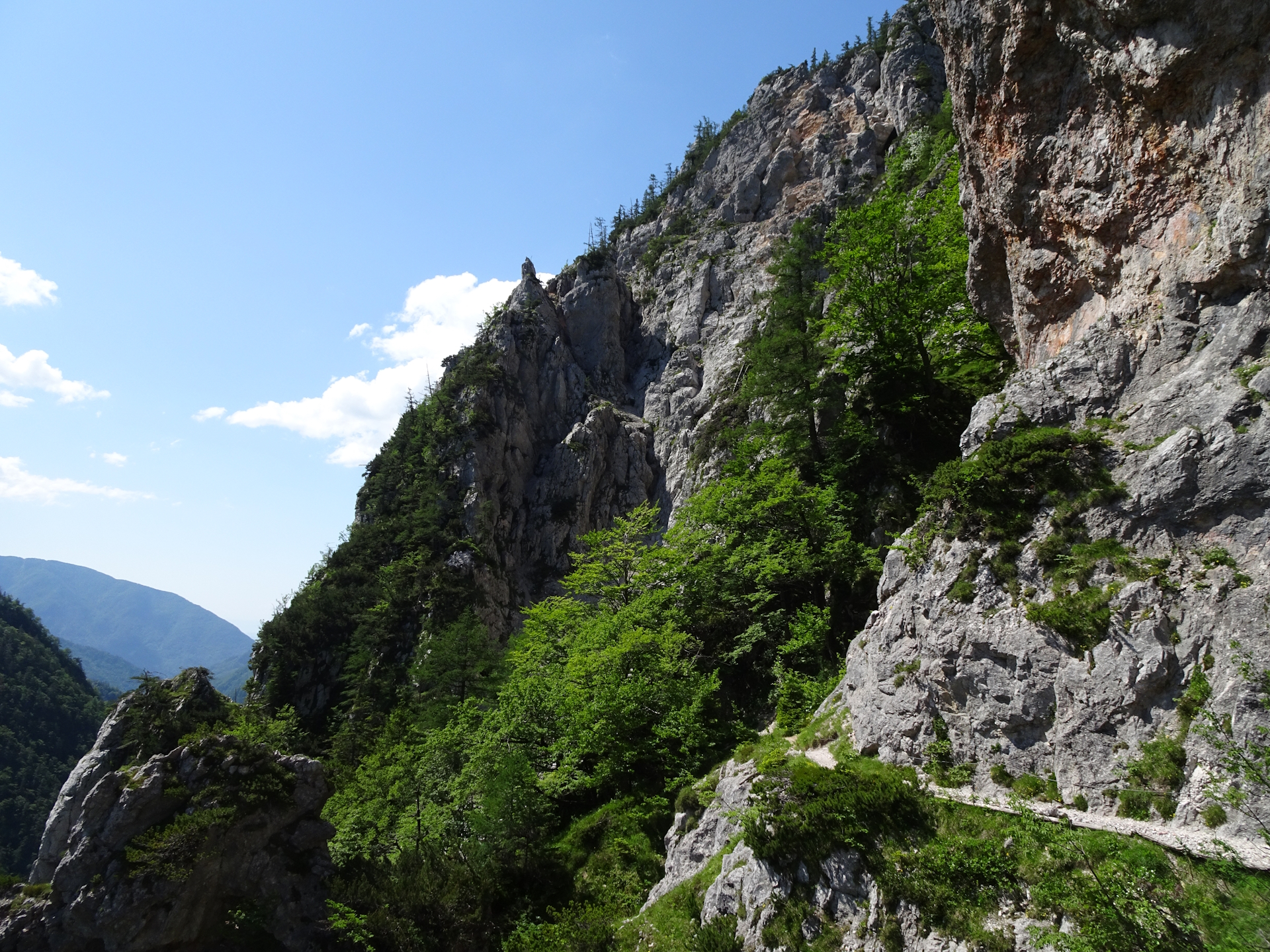 The scenic <i>Bornova pot</i> trail