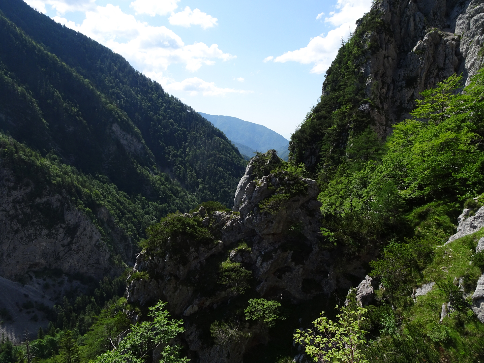 Another view from the <i>Bornova pot</i> trail