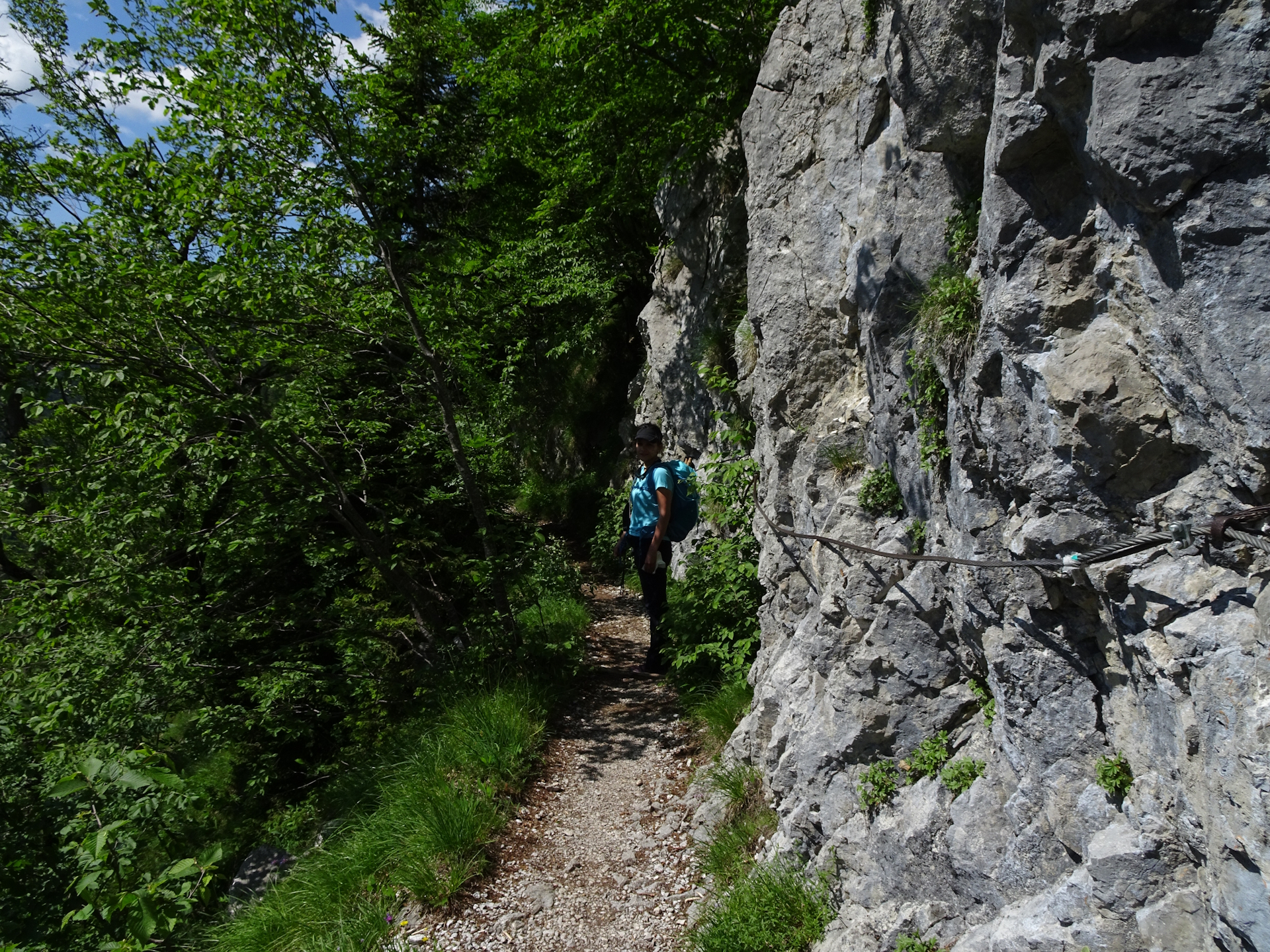 On the well protected trail towards <i>Planina Prevala</i>