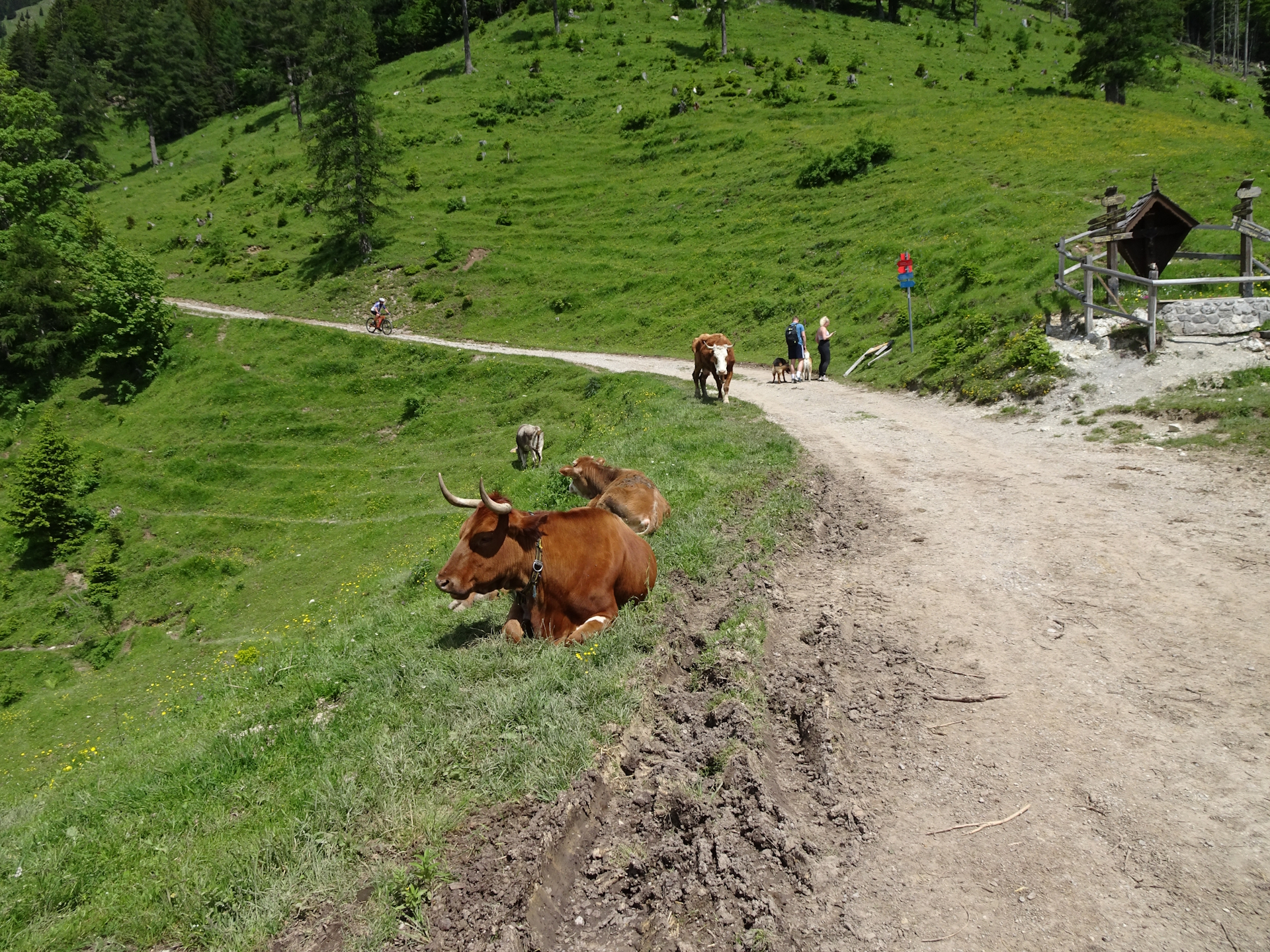 At <i>Planina Prevala</i>