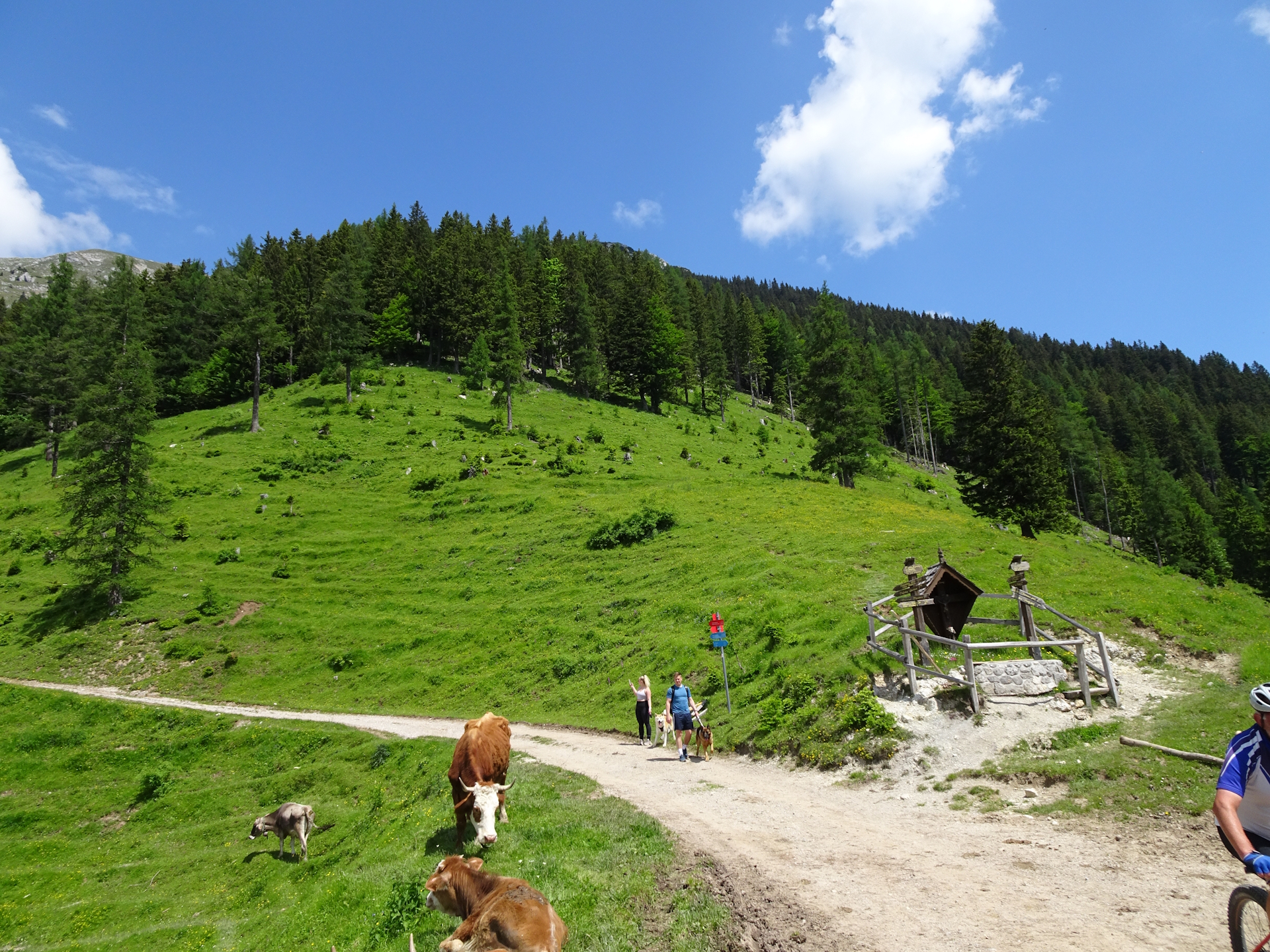 At <i>Planina Prevala</i> (the trail starts on the right hand-side of the wooden shrine)