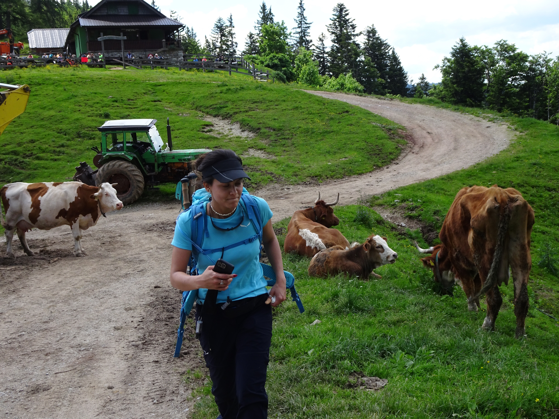 Eliane is impressed by the many cows at <i>Planina Prevala</i>