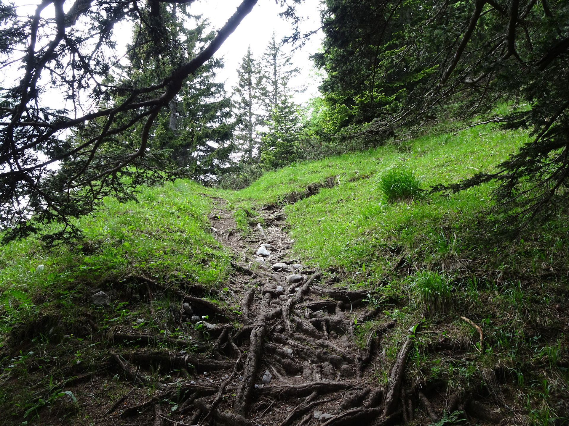 On the steep trail up to <i>Veliki vrh (Begunjščica)</i>