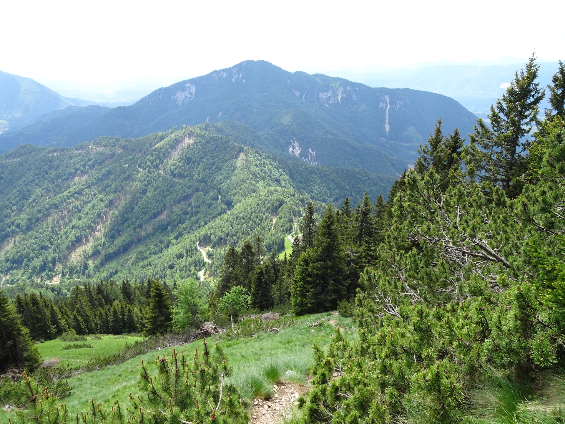 On the trail up to <i>Veliki vrh (Begunjščica)</i>