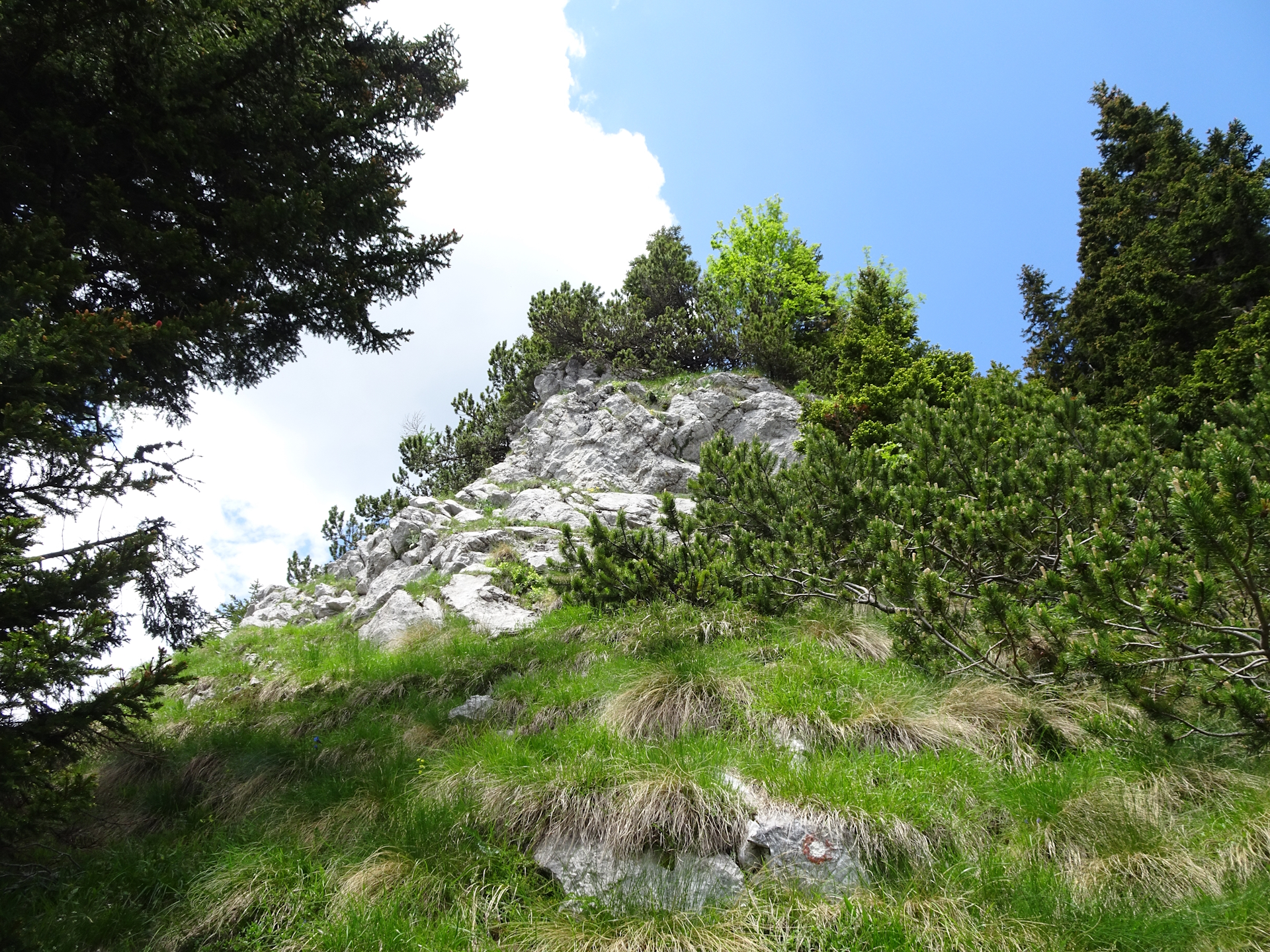 The trail gets alpine (some easy climbing)